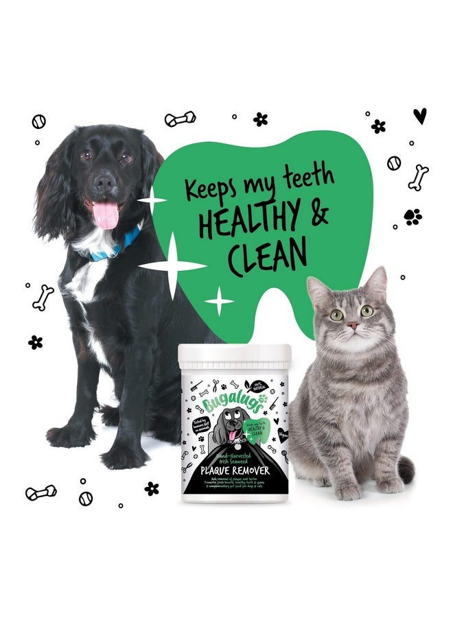 BUGALUGS Plaque Off Remover for Dog Teeth & Bad Breath 100% Natural | Plaque Off No Toothbrush or Dog Toothpaste | Remove Dog Bad Breath & Plaque Remover for Dogs & Cats (Dog 70g)