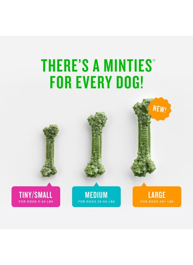 Minties Dental Chews for Dogs, 120 Count, Vet-Recommended Mint-Flavored Dental Treats for Tiny/Small Dogs 5-24 lbs, Dental Bones Clean Teeth, Fight Bad Breath, and Removes Plaque and Tartar