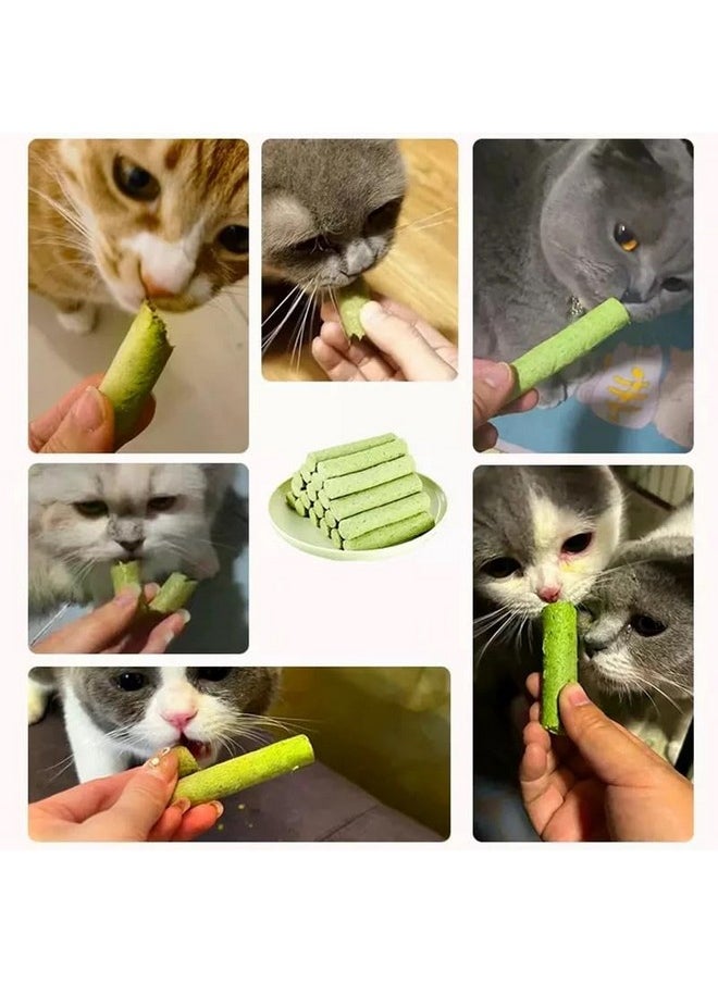 Cat Grass Teething Stick for Hairball Removal and Teeth Cleaning, Cat Grass Sticks for Indoor Cats, Chicken Flavored Hairball Treats for Cats, Natural Cat Dental Treat