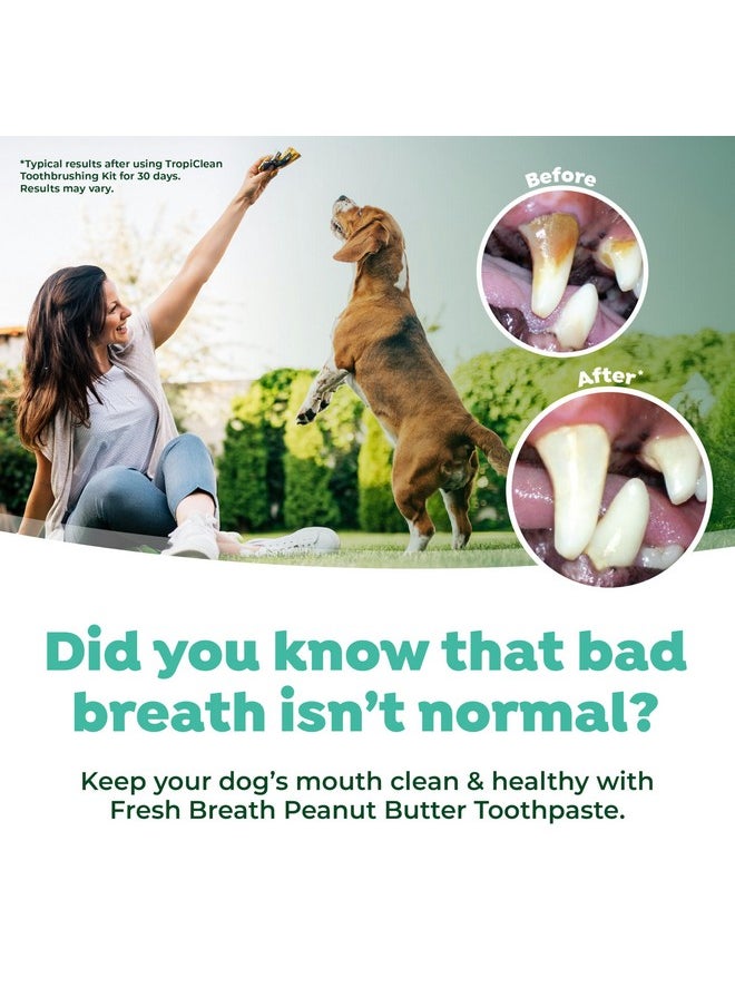 TropiClean Fresh Breath - Dog Toothpaste - Dog Teeth Cleaning Peanut Butter & Honey Flavor - Freshens Breath and Cleans Teeth - 2oz