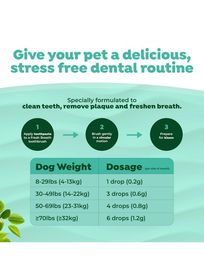 TropiClean Fresh Breath - Dog Toothpaste - Dog Teeth Cleaning Peanut Butter & Honey Flavor - Freshens Breath and Cleans Teeth - 2oz
