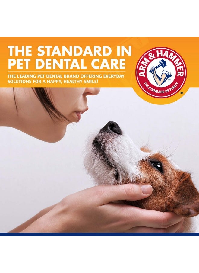 Arm & Hammer for Pets Tartar Control Kit for Dogs Contains Toothpaste, Toothbrush & Fingerbrush Reduces Plaque & Tartar Buildup, 3-Piece Kit, Banana Mint Flavor (Pack of 1)