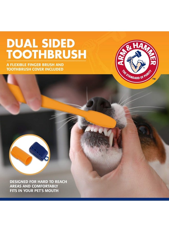 Arm & Hammer for Pets Tartar Control Kit for Dogs Contains Toothpaste, Toothbrush & Fingerbrush Reduces Plaque & Tartar Buildup, 3-Piece Kit, Banana Mint Flavor (Pack of 1)