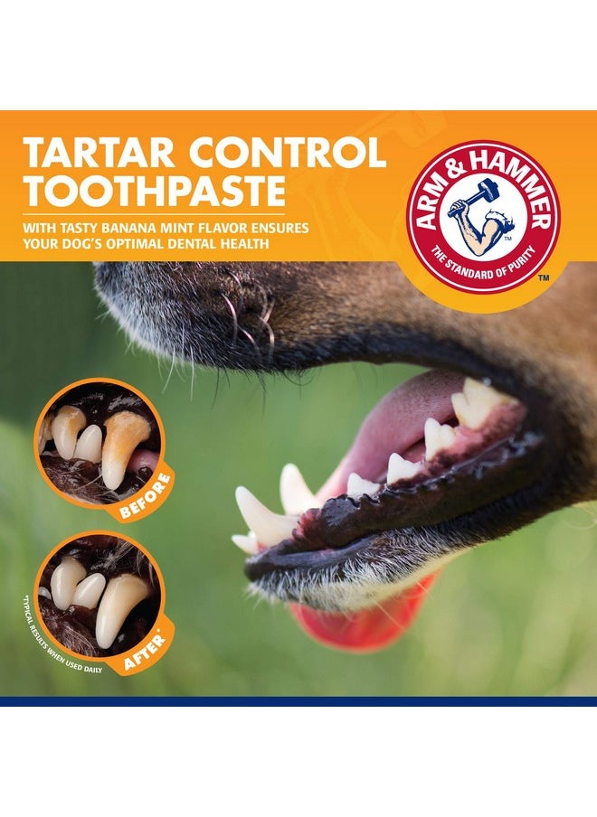 Arm & Hammer for Pets Tartar Control Kit for Dogs Contains Toothpaste, Toothbrush & Fingerbrush Reduces Plaque & Tartar Buildup, 3-Piece Kit, Banana Mint Flavor (Pack of 1)