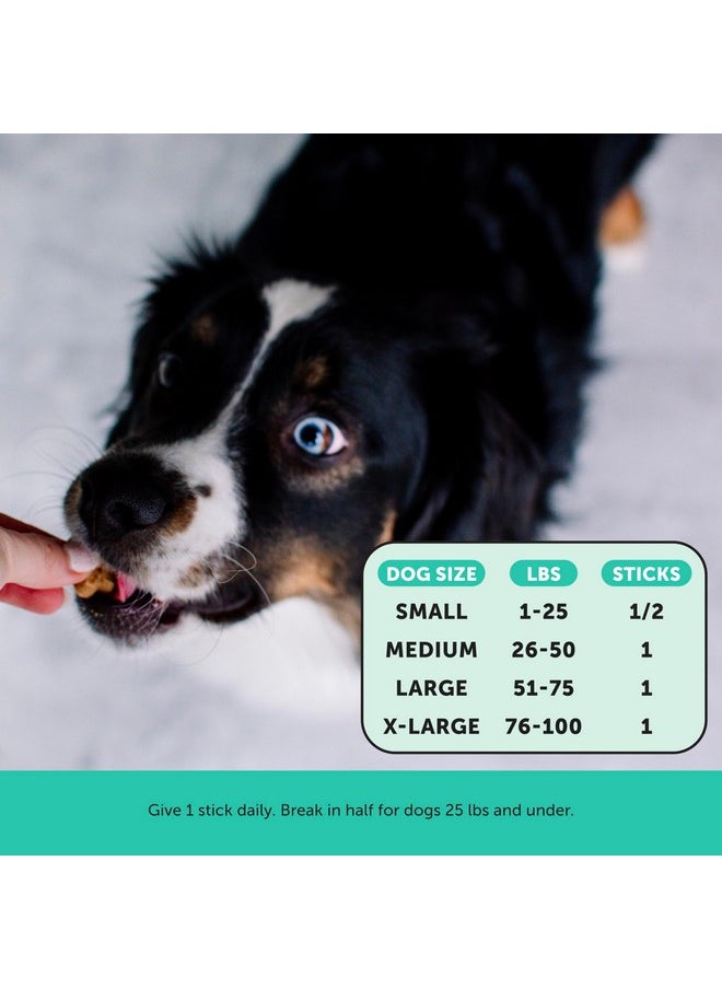 Pet Honesty Dental Health Fresh Sticks - Oral Hygiene Dental Sticks for Dogs - Dental Dog Chews - Freshen Dog Breath, Reduce Plaque + Tartar - 16 Sticks