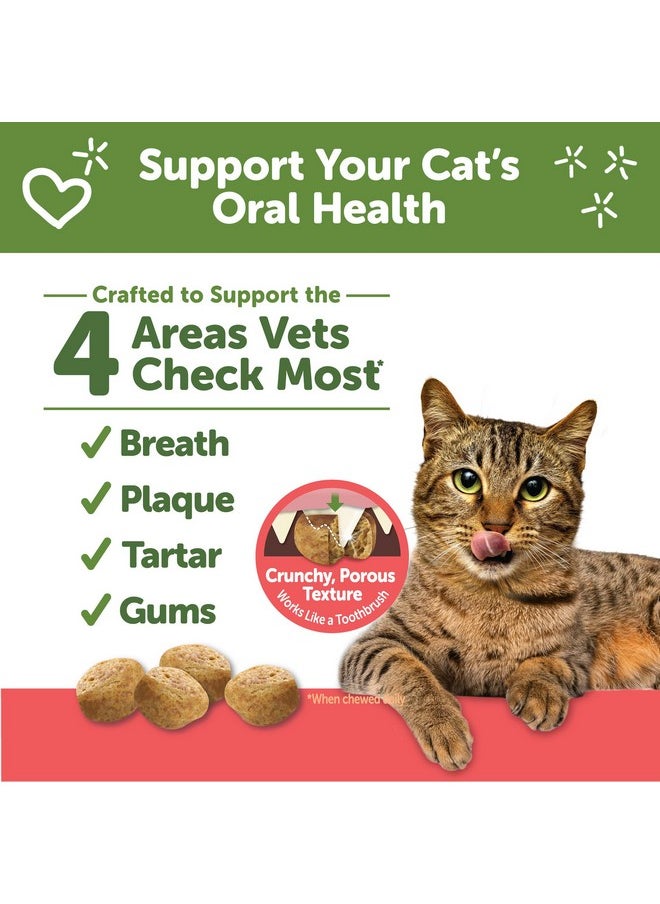 Whimzees Wellness Cat Dental Treats, Natural Chews, Chicken and Salmon Flavor, (2 Ounce Bag)