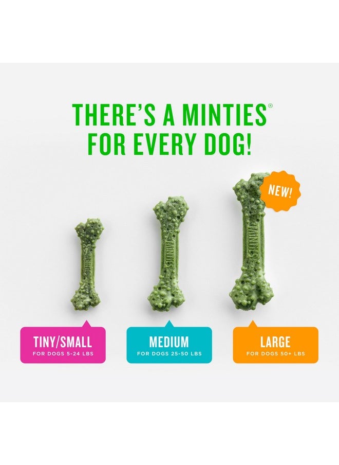 Minties Dental Chews for Dogs, 60 Count, Vet-Recommended Mint-Flavored Dental Treats for Medium Dogs 25-50 lbs, Dental Bones Clean Teeth, Fight Bad Breath, and Removes Plaque and Tartar