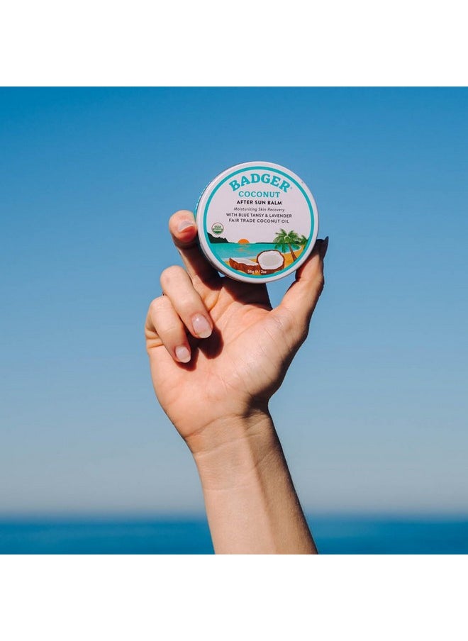 Badger Coconut AfterSun Balm, 100% Organic Soothing Sunburn Relief, Great Smelling, Moisturizing & Hydrating After Sun Skin Care, 2 oz Tin, 2-Pack