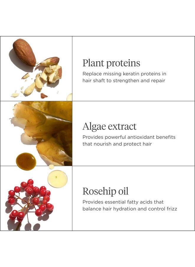 Briogeo Don't Despair, Repair! Super Moisture Conditioner, for Dry, Damaged Hair, Hair Moisturizer featuring Argan Oil, Vegan, Cruelty-Free, 8 fl oz