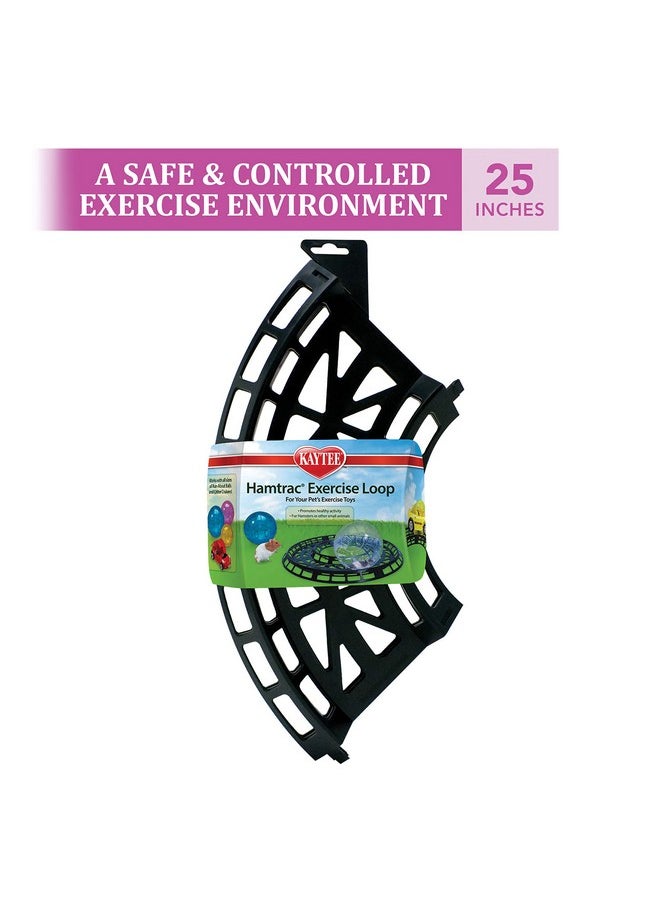 Kaytee Hamtrack Exercise Loop for Exercise Balls & Critter Cruiser Car (includes 4 curved sections)