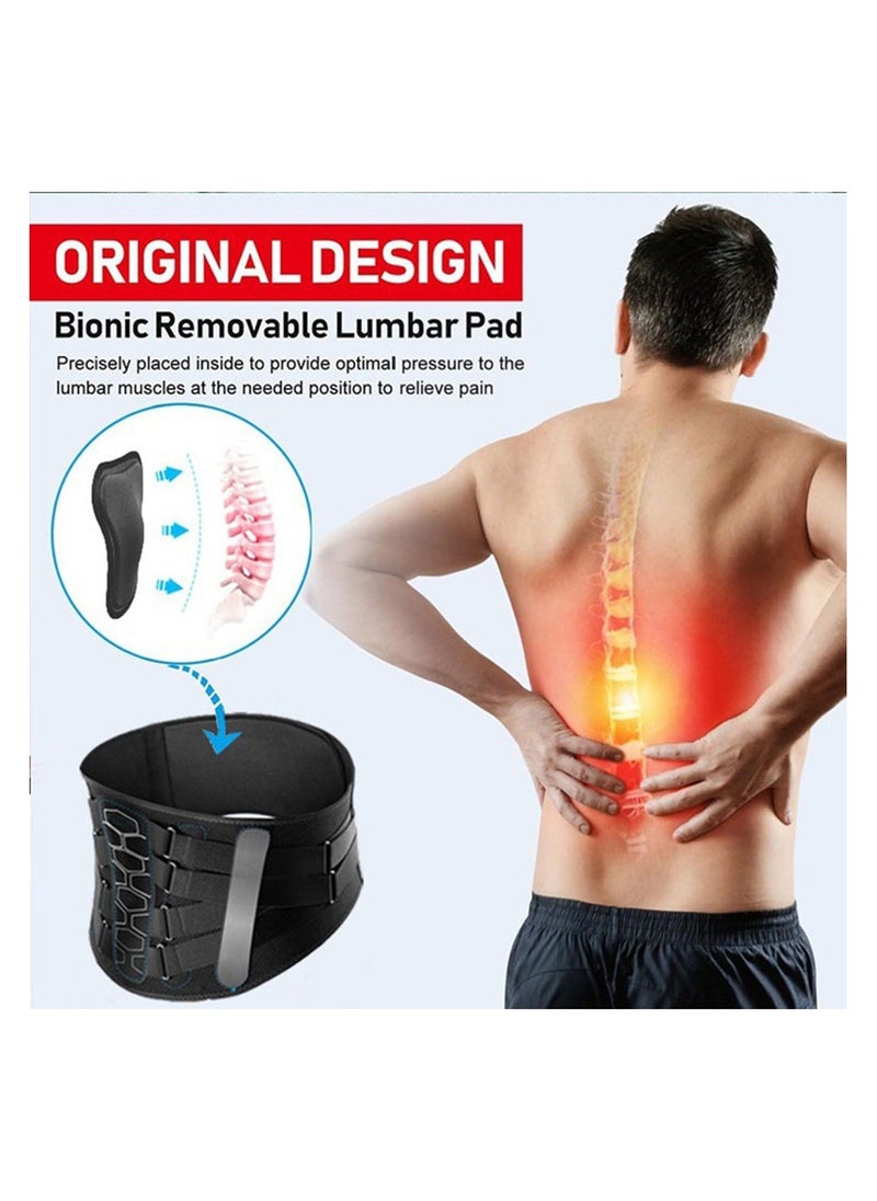 Back Brace For Lower Back Pain Relief With Pulley System Lumbar Support Belt With Lumbar Pad Ergonomic Design And Soft Breathable 3D Knit Material For Herniated Disc Sciatica For Men Women, L