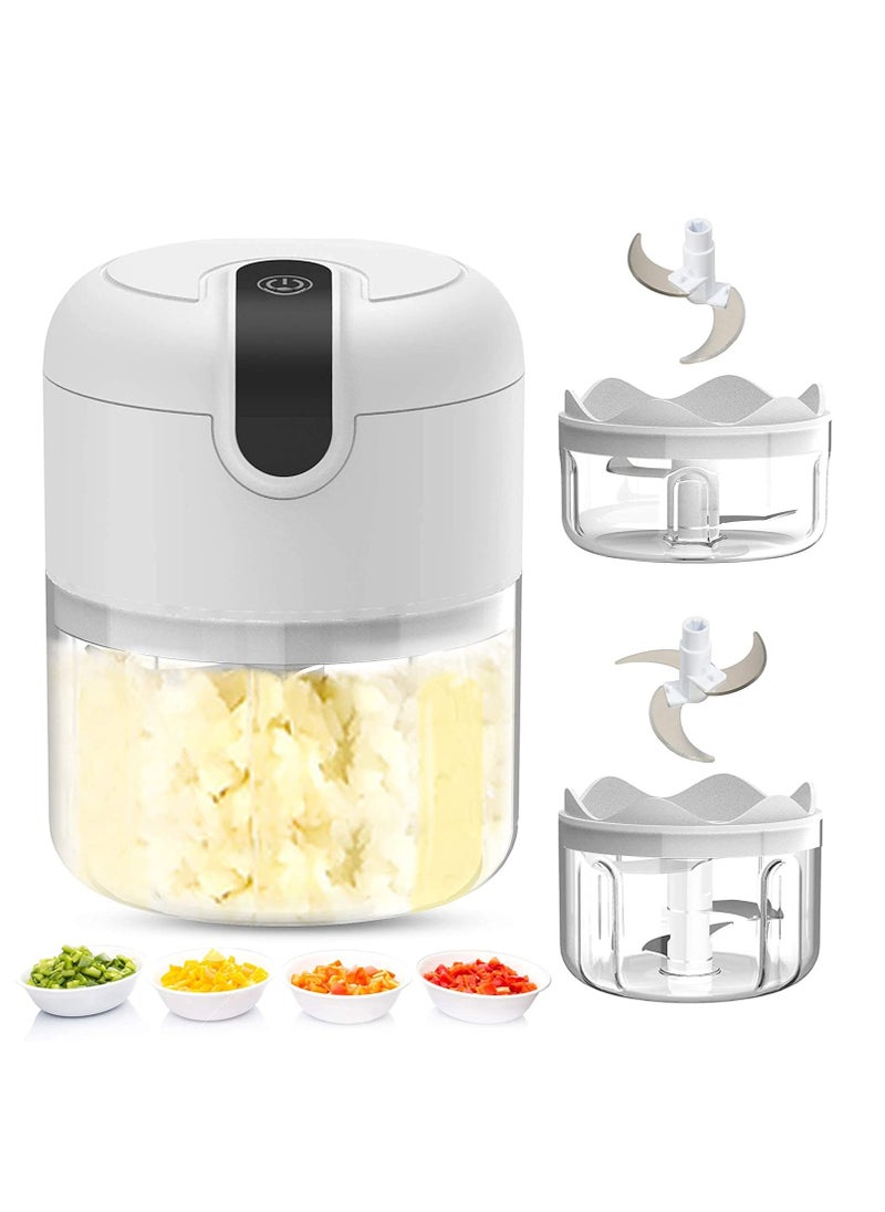 Electric Mini garlic chopper, Onion Ginger salad Pepper Nuts grinder, Portable Small Food Chopper for Garlic Onion Veggie, Dicing, Mincing, All in one food processor kitchen chopper masher (250ML)