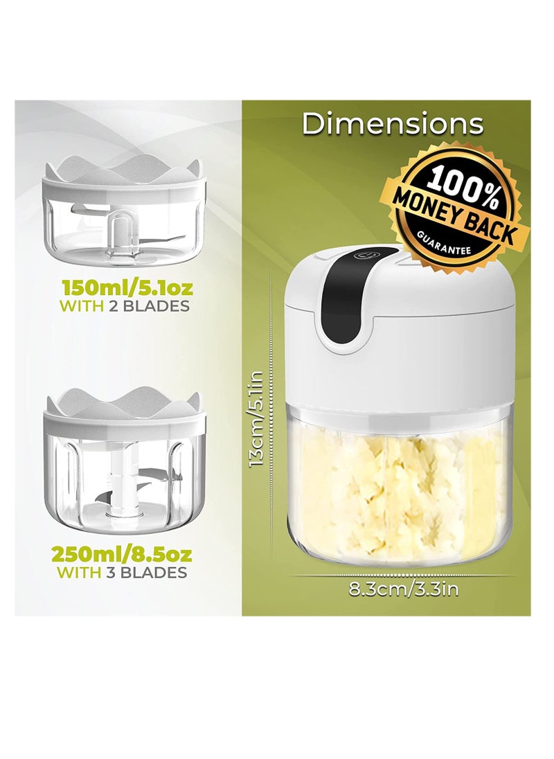 Electric Mini garlic chopper, Onion Ginger salad Pepper Nuts grinder, Portable Small Food Chopper for Garlic Onion Veggie, Dicing, Mincing, All in one food processor kitchen chopper masher (250ML)