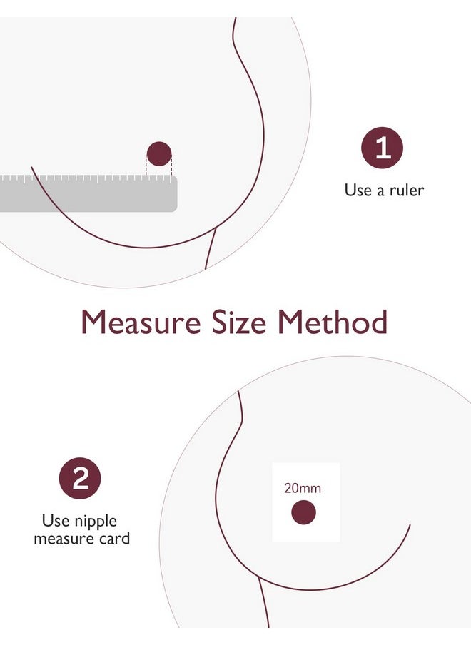Evenflo Feeding Replacement Silicone Membranes and Valves for Advanced Breast Pumps (2 of Each)