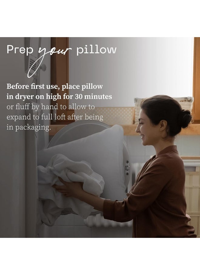 Essence Down Alternative Pillow Queen Size Set of 2