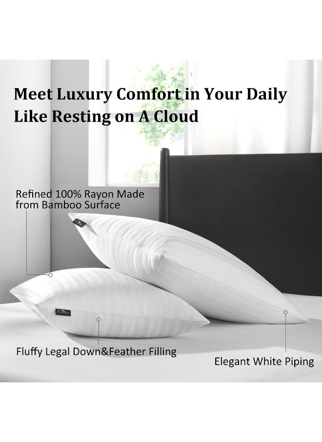 downluxe Goose Feather Down Pillow - Set of 2 Bed Pillows for Sleeping with Rayon Derived from Bamboo Shell, Queen Size (20x28)