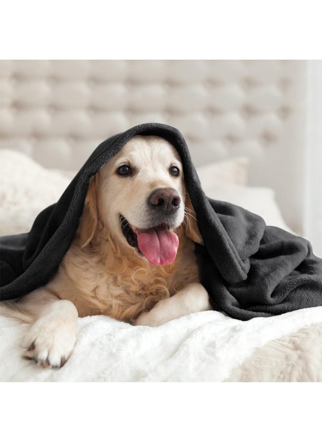 BEDELITE Fleece Blanket Black Throw Blankets for Couch & Bed, Plush Cozy Fuzzy Blanket 50