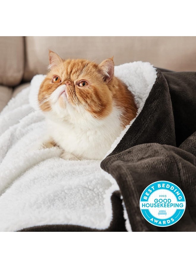BEDSURE Sherpa Fleece Blanket Throw Size Brown Plush Throw Blanket Fuzzy Soft Blanket Microfiber