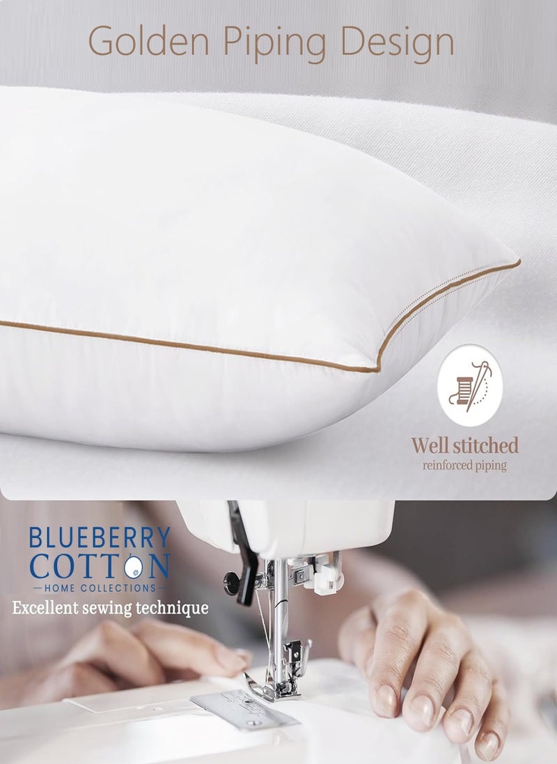2 Piece Pack Gold Line Classic Single Piping Pillow Cotton White 50x70cm Made in Uae