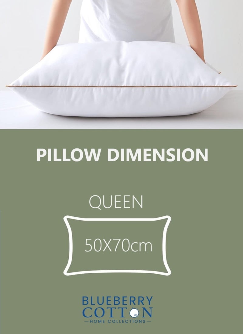 2 Piece Pack Gold Line Classic Single Piping Pillow Cotton White 50x70cm Made in Uae