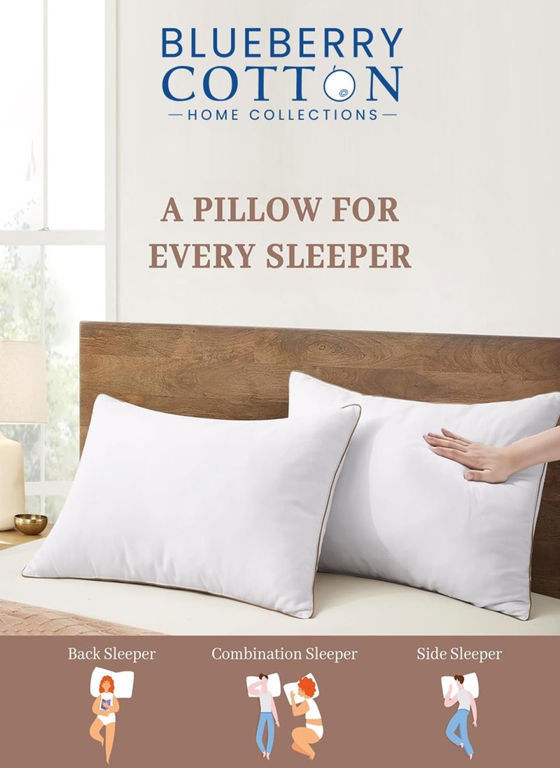 2 Piece Pack Gold Line Classic Single Piping Pillow Cotton White 50x70cm Made in Uae