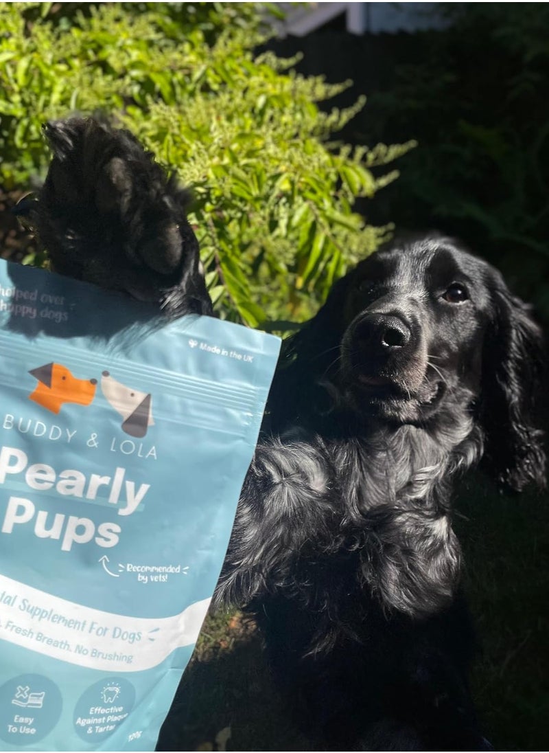 Pearly Pups Plaque Off Dog Teeth Cleaning Products and Dog Breath Freshener Daily Plaque Remover Without A Dog Toothbrush Or Dog Toothpaste Dental Dog Breath Freshener 120g