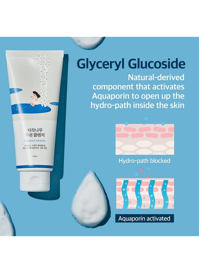 ROUND LAB Birch Juice Moisturizing Cleanser | Unclogs hidden sebum, Clears away dead skin cells., Soothing, Low pH, Gel Type Cleanser (5.07 fl.oz)
