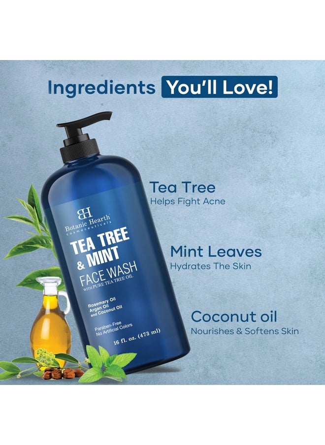 Botanic Hearth Tea Tree Face Wash with Mint - Acne Fighting, Premium, Hydrating Liquid Face Soap with Pure Tea Tree Oil - for Women and Men, Paraben Free, Fights Acne - 16 fl oz