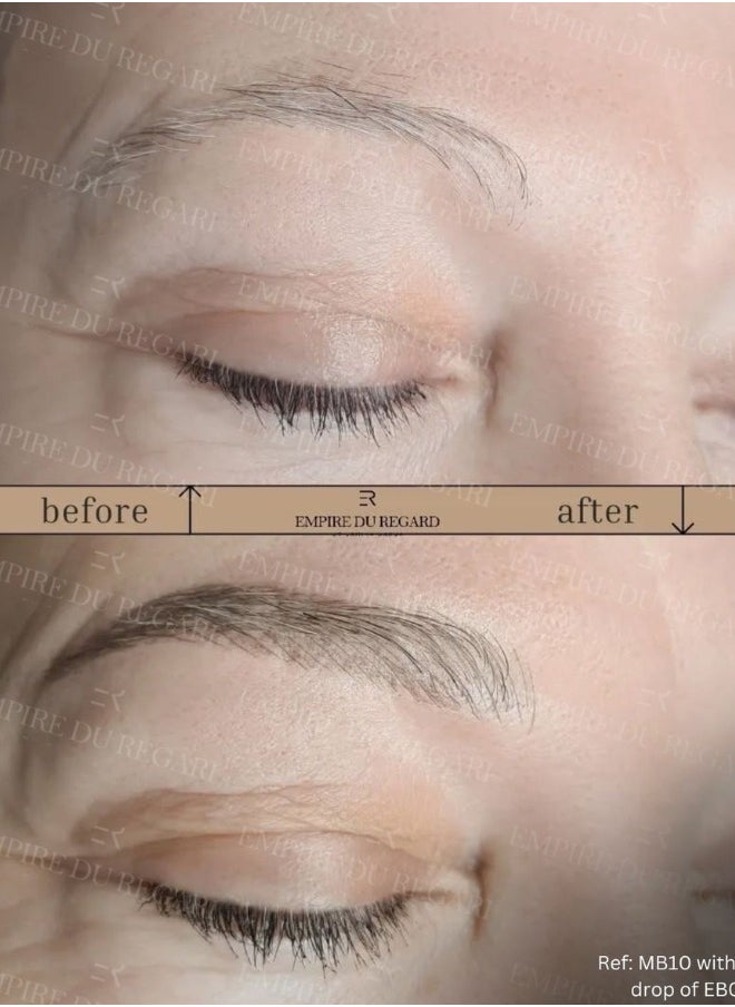 Brow Pigment Airless Color EB01 Icy Chesnut Brown - Permanent Makeup PMU Professional Tattoo Ink - Vegan 13ml