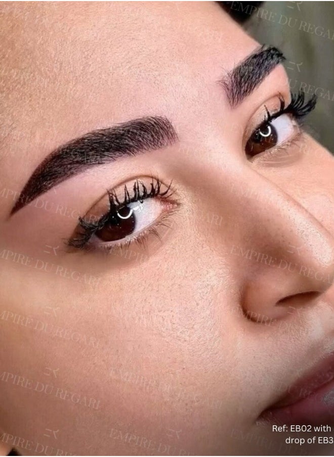 Brow Pigment Airless Color EB02 Dark Ash Grey - Permanent Makeup PMU Professional Tattoo Ink - Vegan 13ml