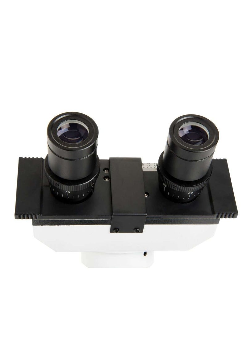 Celestron Labs CB2000CF – Compound Binocular Microscope