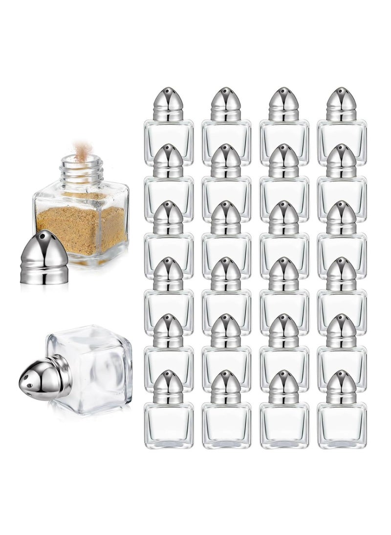 Castor Salt and Pepper Shakers 24 packs Pocket Condiment Bottle Individual Seasonings Shakers Salt Container Holder Seasoning Holders Glass Pepper Jar Spice Jars Silver lids.