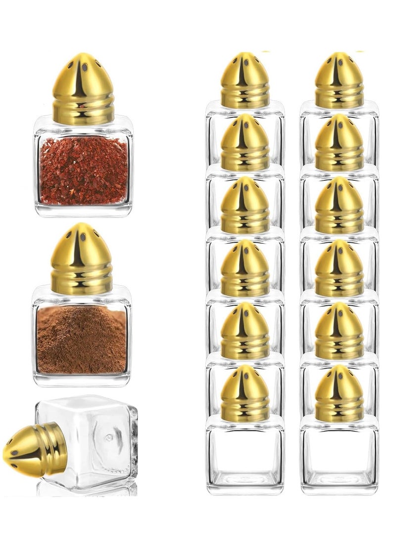 Castor Salt and Pepper Shakers 24 packs Pocket Condiment Bottle Individual Seasonings Shakers Salt Container Holder Seasoning Holders Glass Pepper Jar Spice Jars Golden lids