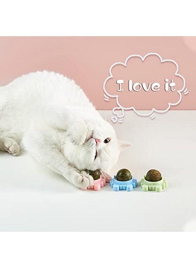 2021 New Crab Catnip Ball Pure Natural Mint Leaf Rotating Interactive Cat Toy Self-Adhesive Catnip Teeth Cleaning Edible Ball