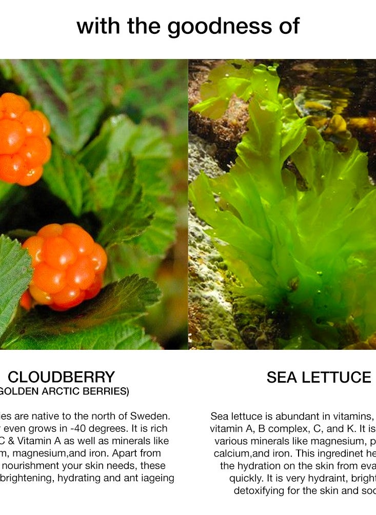 SKOG Cloudberry/Sea Lettuce Moisturizing Cream (30g) - Lightweight, Non-Comedogenic Daily Moisturizer for Radiant, Youthful Skin