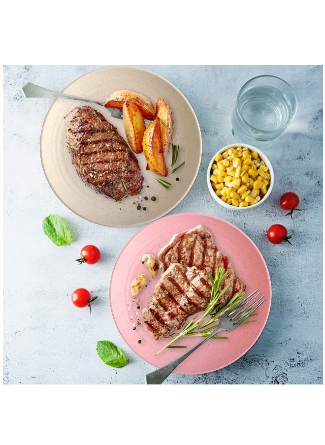 Dinner Plates Set 4 Pack 8 Plastic Unbreakable Plates Set for Family Party Picnic Home Dishwasher Microwave Safe