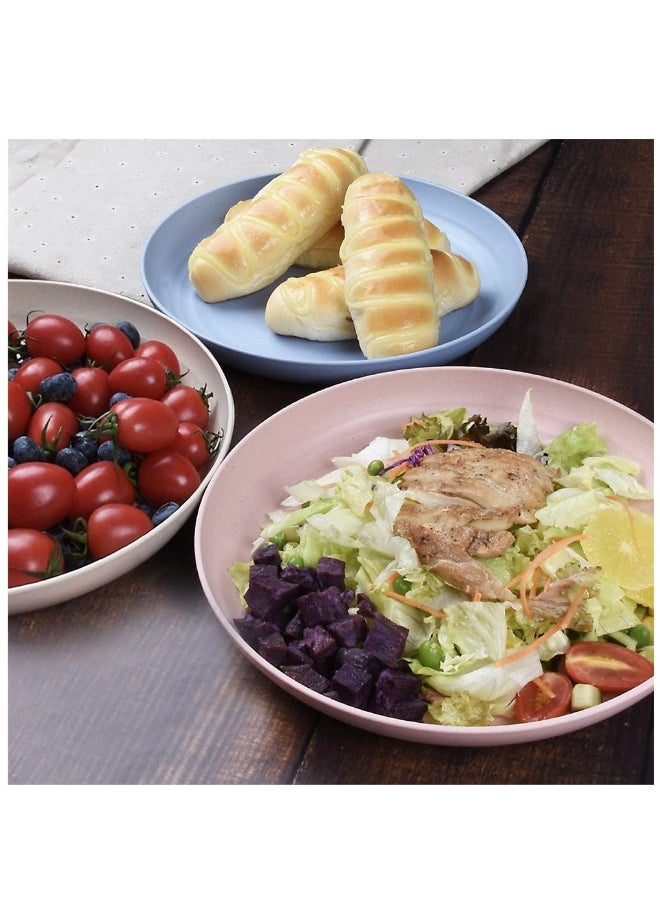 Dinner Plates Set 4 Pack 8 Plastic Unbreakable Plates Set for Family Party Picnic Home Dishwasher Microwave Safe