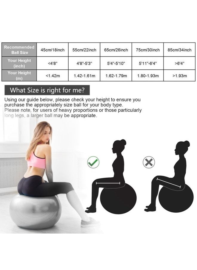 Anti-Burst Yoga Ball With Hand Pump 65cm