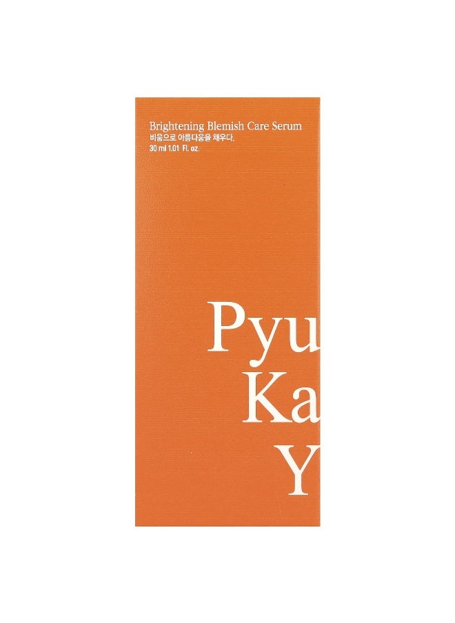 Pyunkang Yul, Brightening Blemish Care Serum, 1.01 fl oz (30 ml)