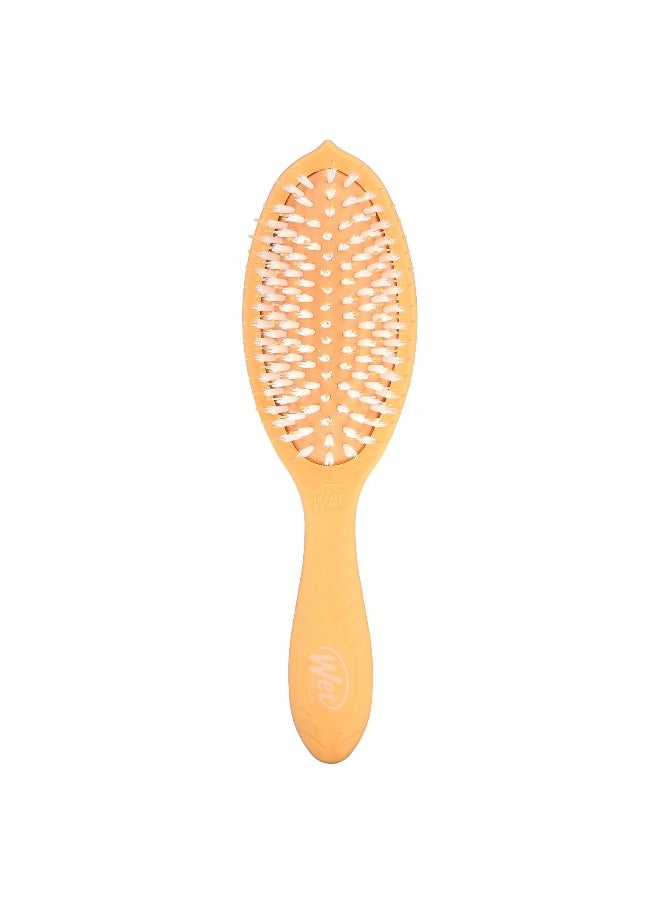 Wet Brush, Go Green Coconut Oil Infused Treatment & Shine Brush, Orange, 1 Brush