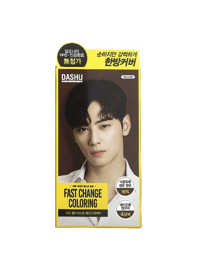 Dashu, Fast Change Coloring, Dark Brown, 1 Application Kit