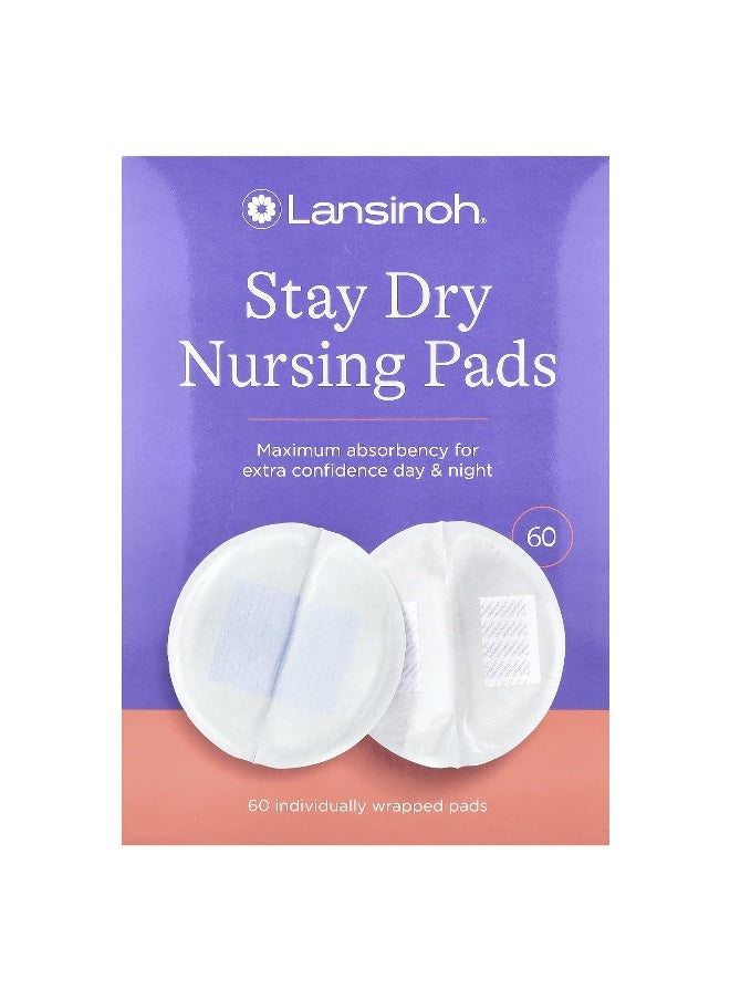 Lansinoh, Stay Dry Nursing Pads, 60 Individually Wrapped Pads