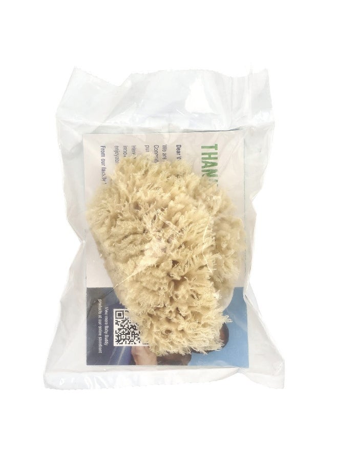 Baby Buddy, Premium Quality Wool Sea Sponge, 1 Sponge