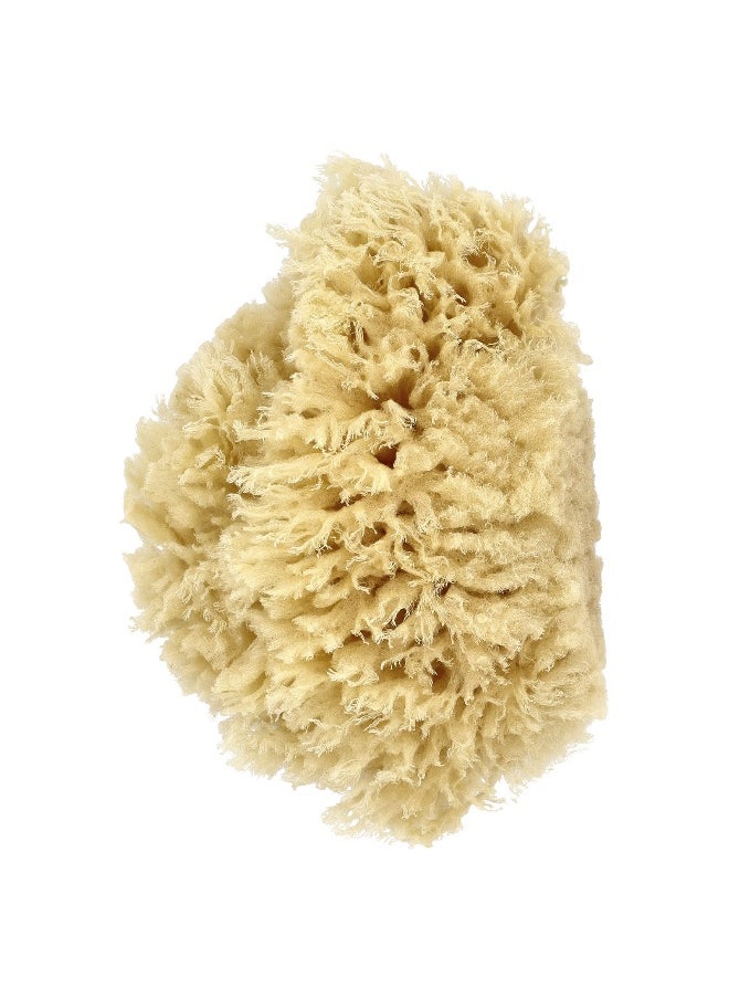 Baby Buddy, Premium Quality Wool Sea Sponge, 1 Sponge