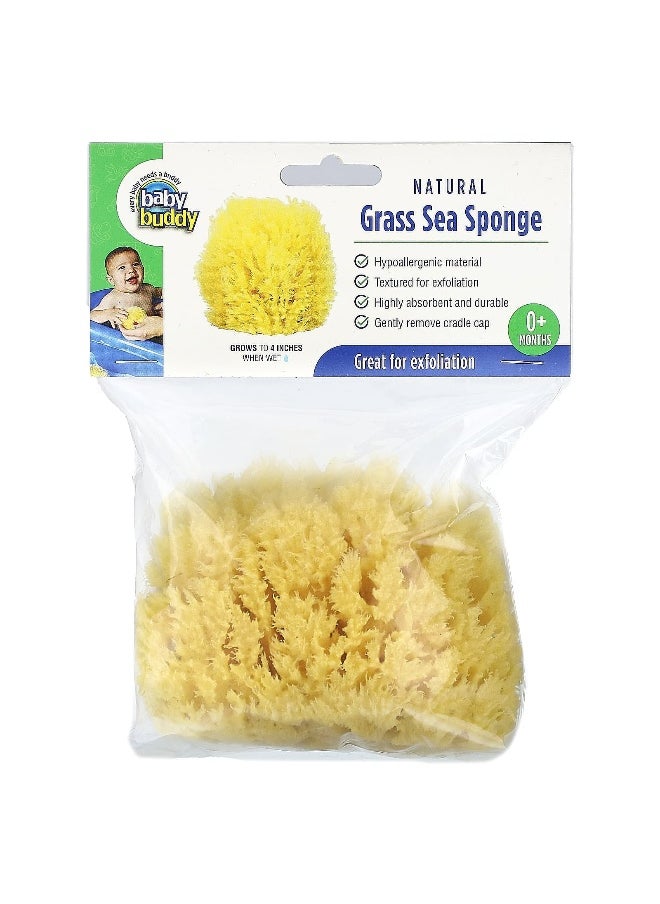 Baby Buddy, Natural Grass Sea Sponge, 0+ Months, 1 Sponge