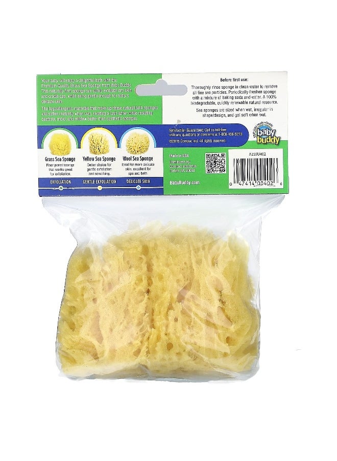 Baby Buddy, Natural Grass Sea Sponge, 0+ Months, 1 Sponge