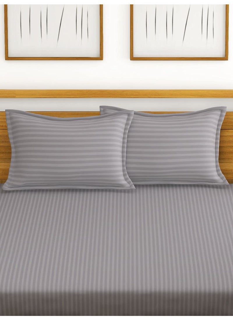 BIANCA Super Soft 100% Egyptian Cotton Satin Stripe XL King Double Bedsheet with 2 Pillow Covers -3pc Set (Hilton) | 100% Super Soft Egyptian Cotton Satin Stripe | Stripe-Silver Grey