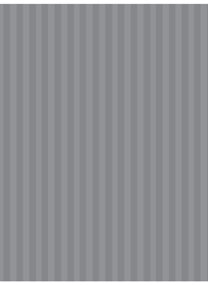 BIANCA Super Soft 100% Egyptian Cotton Satin Stripe XL King Double Bedsheet with 2 Pillow Covers -3pc Set (Hilton) | 100% Super Soft Egyptian Cotton Satin Stripe | Stripe-Silver Grey