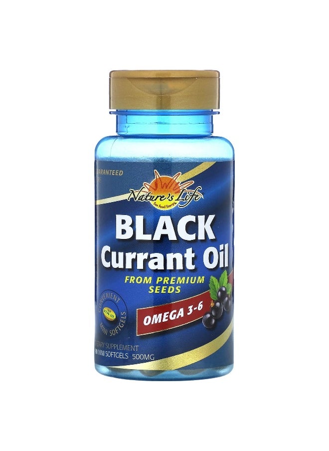 Nature's Life, Black Currant Oil, 500 mg, 90 Mini Softgels