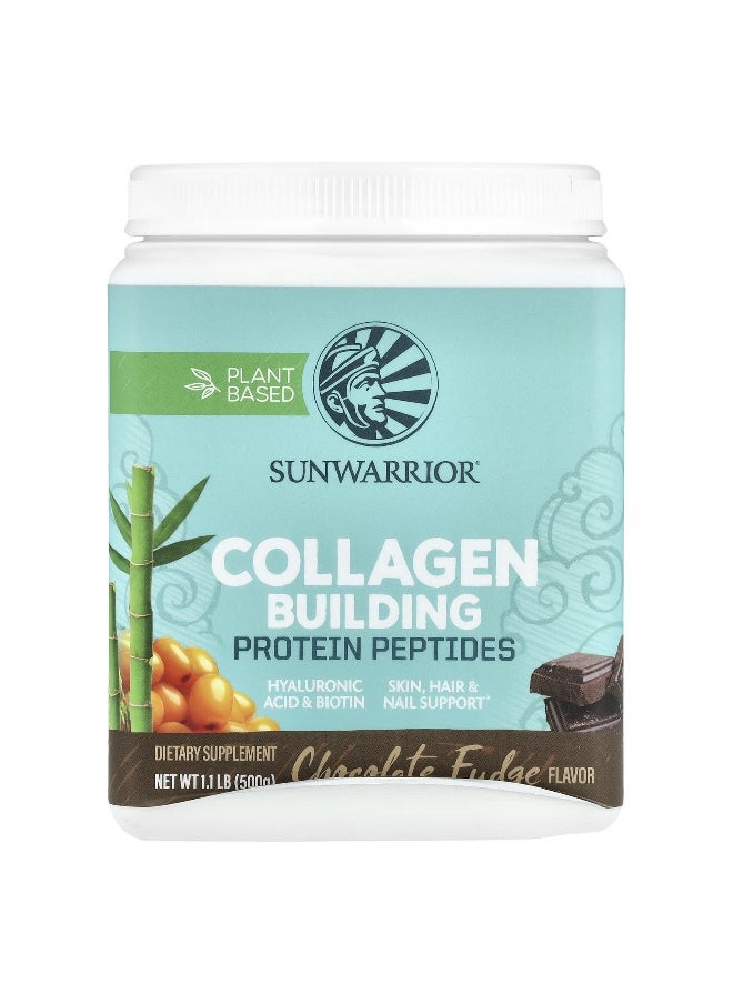 Sunwarrior, Collagen Building Protein Peptides, Chocolate Fudge, 1.1 lb (500 g)